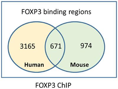 Molecular Insights Into Regulatory T-Cell Adaptation to Self, Environment, and Host Tissues: Plasticity or Loss of Function in Autoimmune Disease